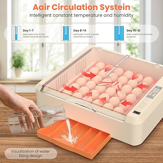 36-60 Egg Incubator with Automatic Egg Turning and Humidity Control, Adjustable - Image 4