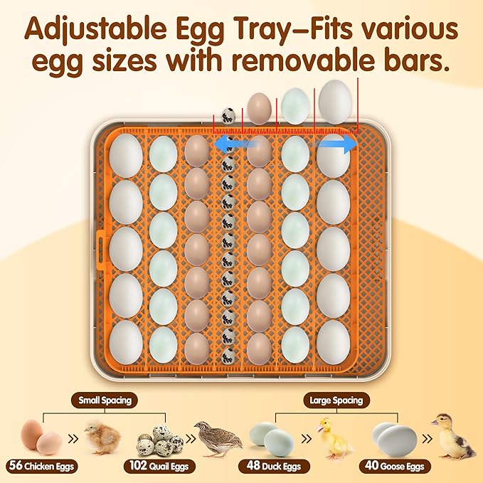 Incubator for Hatching Eggs, 56 Eggs Incubator - Image 5