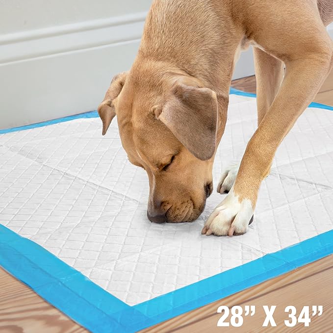 Four Paws Wee-Wee Superior Performance Pee Pads - Image 8