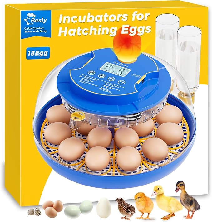 18 Incubators for Hatching Eggs, Automatic Egg Turning and Humidity Control by Besly