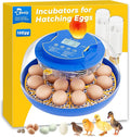 18 Incubators for Hatching Eggs, Automatic Egg Turning and Humidity Control by Besly