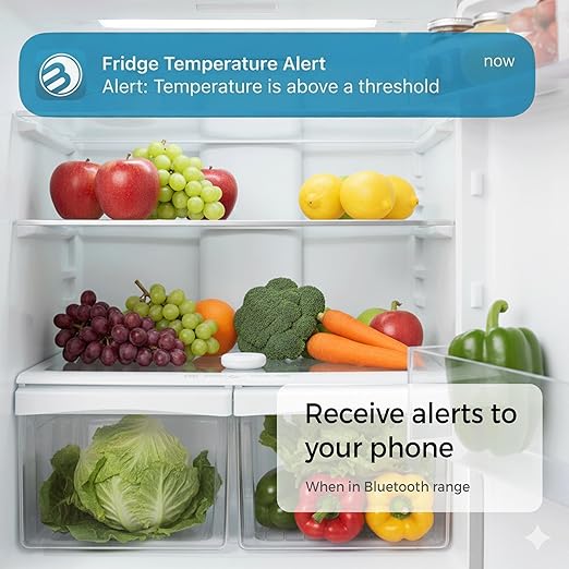 Temperature and Humidity Monitor - Image 4
