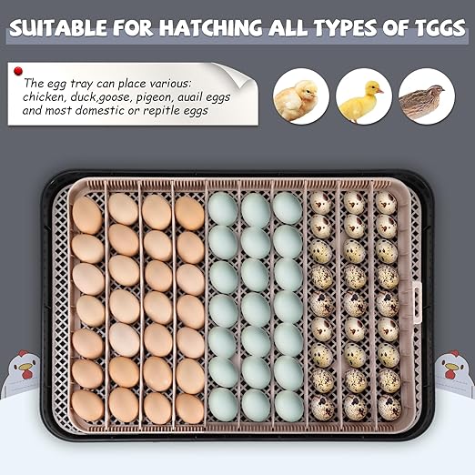 Sailnovo Incubators for Hatching Eggs 70 Egg Incubator - Image 7