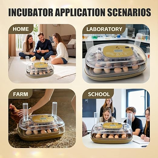 Incubators for Hatching Eggs, 24 Egg Incubator - Image 9