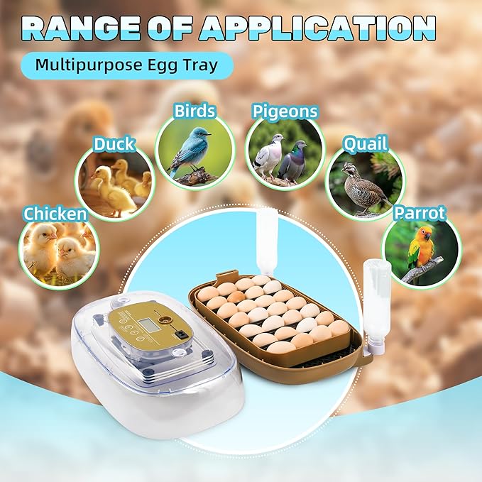 Incubators for Hatching Eggs, 24 Egg Incubator - Image 2