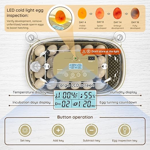 24 Egg Incubator for Hatching Eggs - Image 2