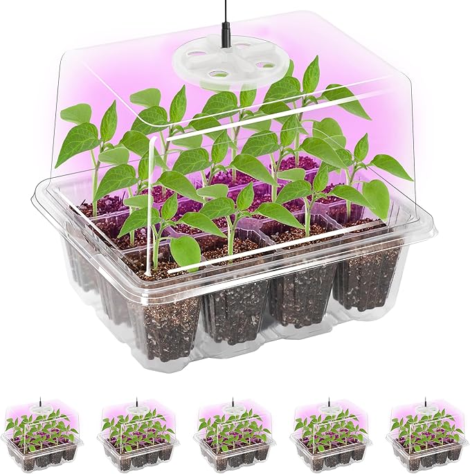 Bonviee 5 Packs Seed Starter Tray by BonvieeDirect