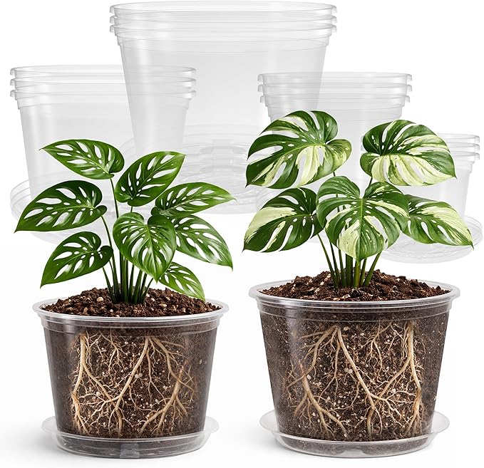 12 Pack 10/8/6/5 Inch Reinforced Large Clear Nursery Pots by Bluepro