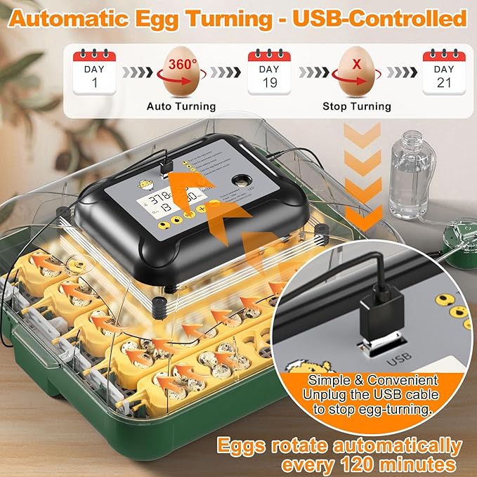 63 Egg Incubator for Hatching Eggs - Image 2