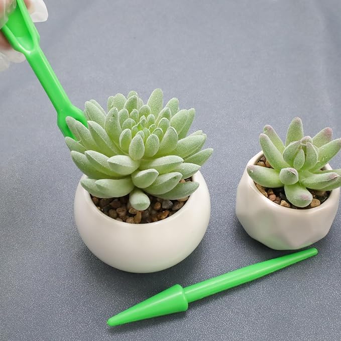 Antrader Mini Garden Hand Succulent Transplanting Tools - Image 6