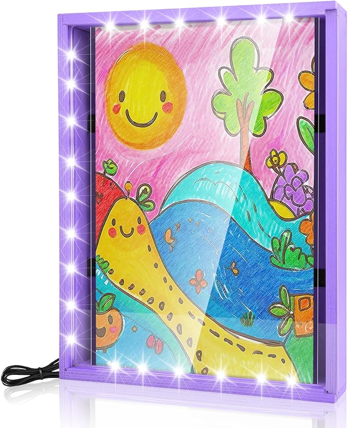 Shadow Box with LED Light Dried Flowers Changeable Artwork Photos Display & - Image 2