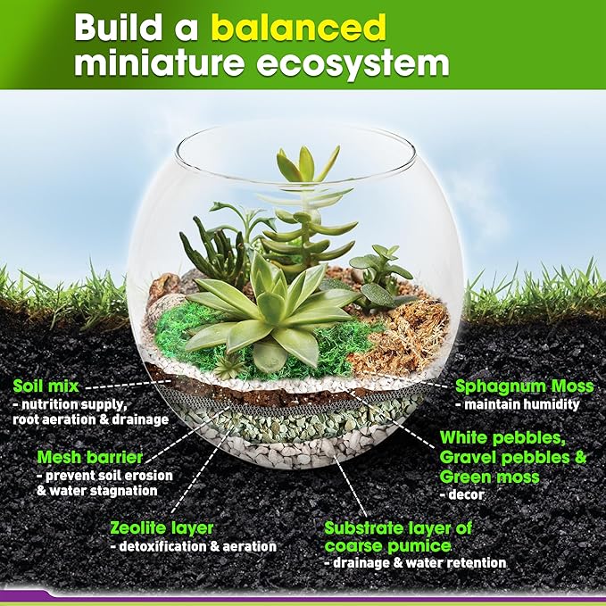 DUSPRO Recycle Terrarium Kit, Include Potting Soil, Sphagnum Moss, Decorative - Image 3
