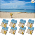 ANGSYLTH 8 Pcs Fluorescent Light Covers by ANGSYLTH