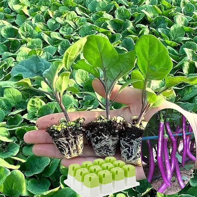Seed Starter Tray, Seed Starting Trays - Image 6