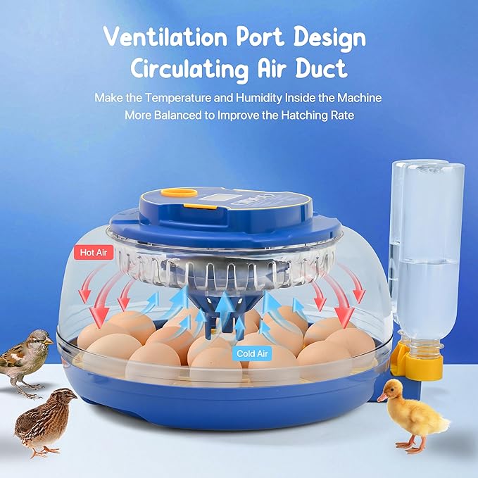 18-36 Eggs Incubators for Hatching Eggs - Image 2
