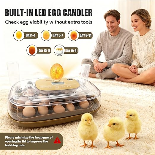 Incubators for Hatching Eggs, 24 Egg Incubator - Image 6