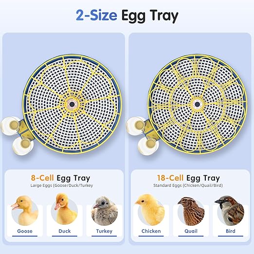 Chicken Egg Incubators for Hatching Eggs, 18 Egg Incubator - Image 5