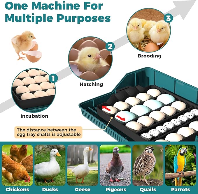 25 Eggs Incubator, Incubators for Hatching Eggs, - Image 2