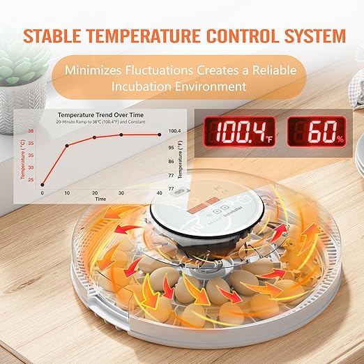 MeeF incubators for Hatching 28 Eggs, Independent atomizing humidifier - Image 4