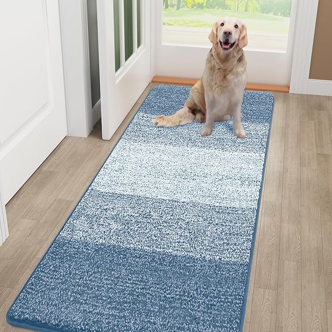 Smiry Dog Door Mat for Muddy Paws, Absorbs Moisture and Dirt, Low-Profile by Smiry