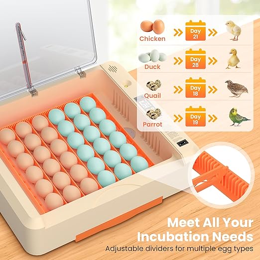 36-60 Egg Incubator with Automatic Egg Turning and Humidity Control, Adjustable - Image 6