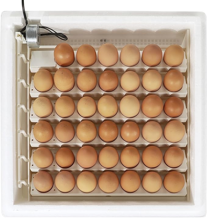 Farm Innovators 4250 Heated Digital Circulated Air Incubator w/Automatic Egg - Image 4