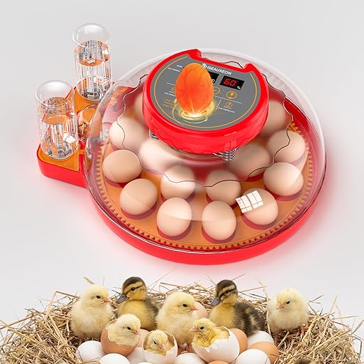 18 Incubators for Hatching Eggs by Unknown