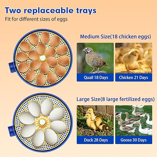 18 Egg Incubator Automatic Egg Turner Temperature & Humidity Control, Incubators - Image 3