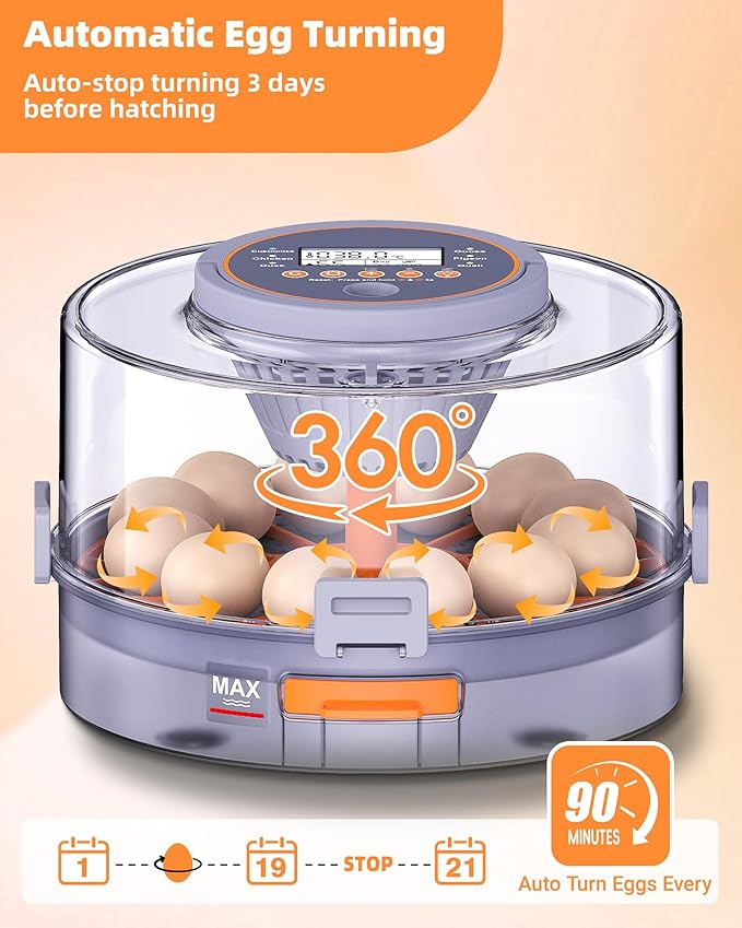 Incubators for Hatching Eggs, 12 Chicken Incubator - Image 5