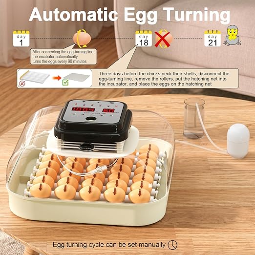 35 Eggs Incubators for Hatching Eggs, Egg Incubator - Image 5