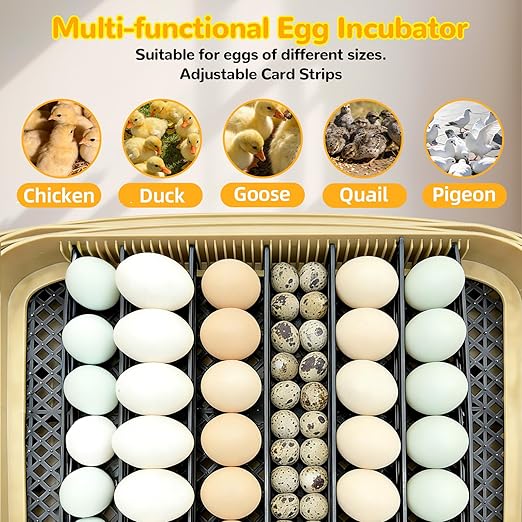 24 Egg Incubator with Temperature Control & Humidity Monitoring, Automatic Egg - Image 8