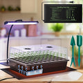 60-Cell Self-Watering Seed Starter Kit by DazSpirit