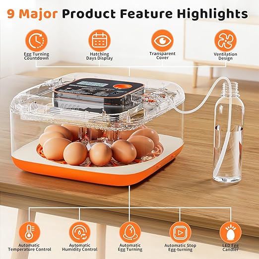 Incubators for Hatching Eggs 12 Egg Digital Egg Incubator Precision Auto Temp - Image 2