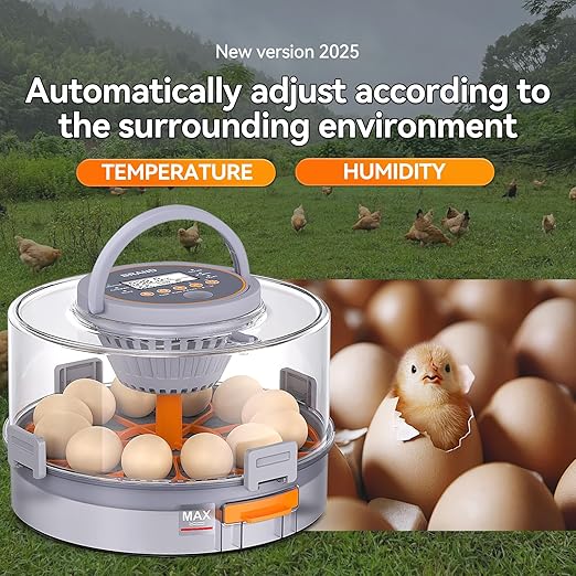 12 Egg Incubators for Hatching Eggs - Image 2