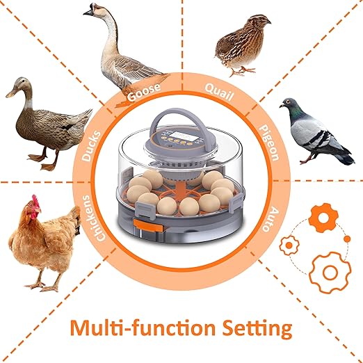 12 Egg Incubator with Automatic Egg Turning and Humidity Control, Intelligent - Image 7