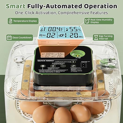 Incubators for Hatching Eggs 12 Egg Digital Egg Incubator Precision Auto Temp - Image 3