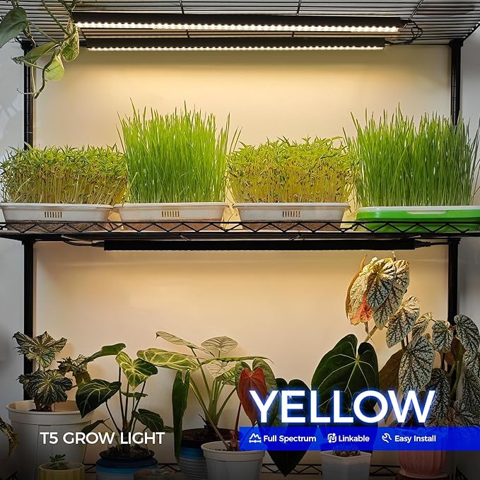 Barrina T5 Grow Lights for Indoor Plants, 2FT 20W, Full Spectrum Grow Light - Image 3