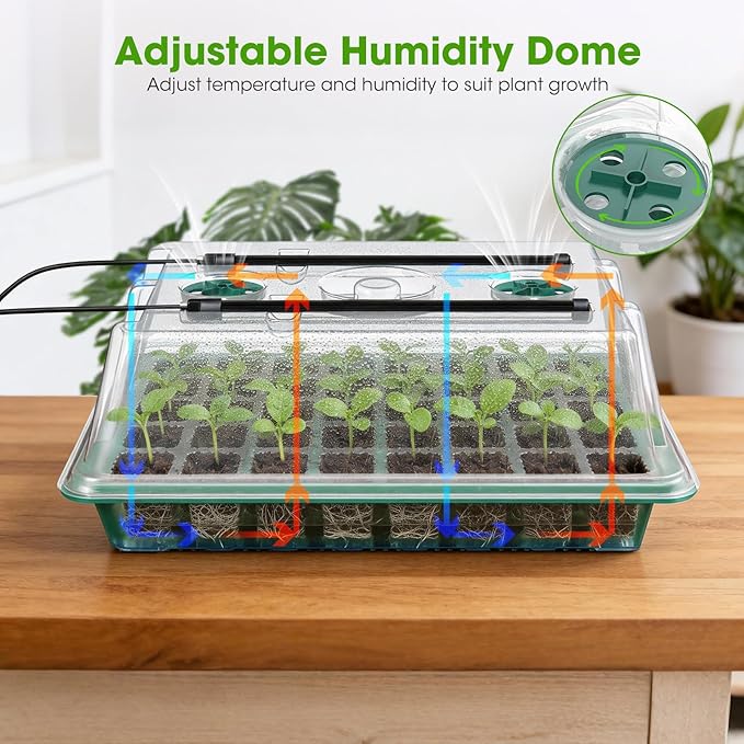Seed Starter Tray with Grow Light, 2 Pack 80-Cell Seedling Starter Kit with - Image 3