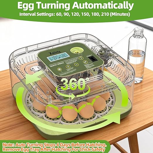 Automatic 12 Egg Incubator - Image 6
