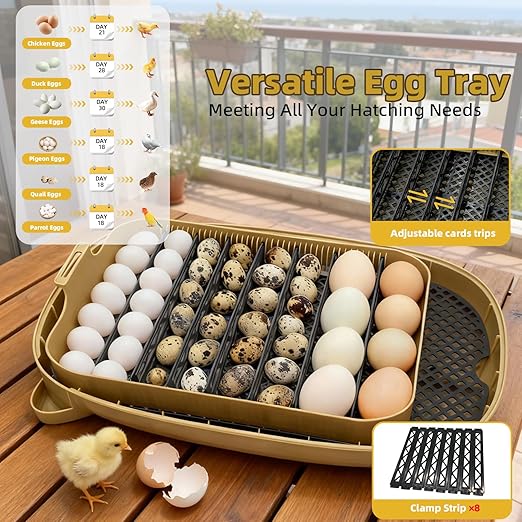 24 Incubators for Hatching Eggs, Egg Incubator - Image 6