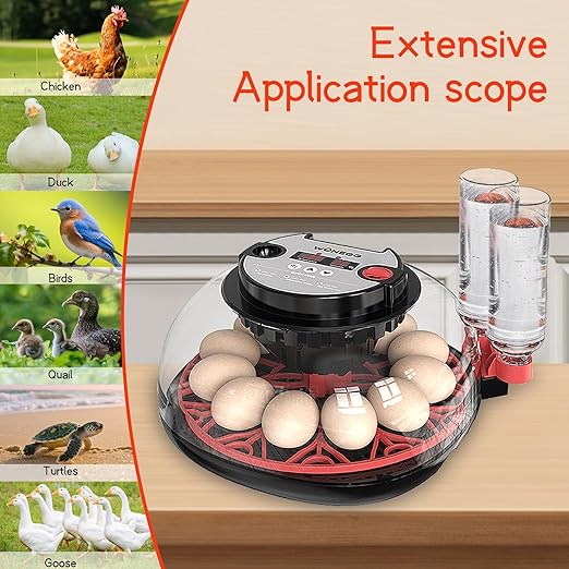 12 Egg Incubator for Hatching Eggs, Automatic Turner - Image 4
