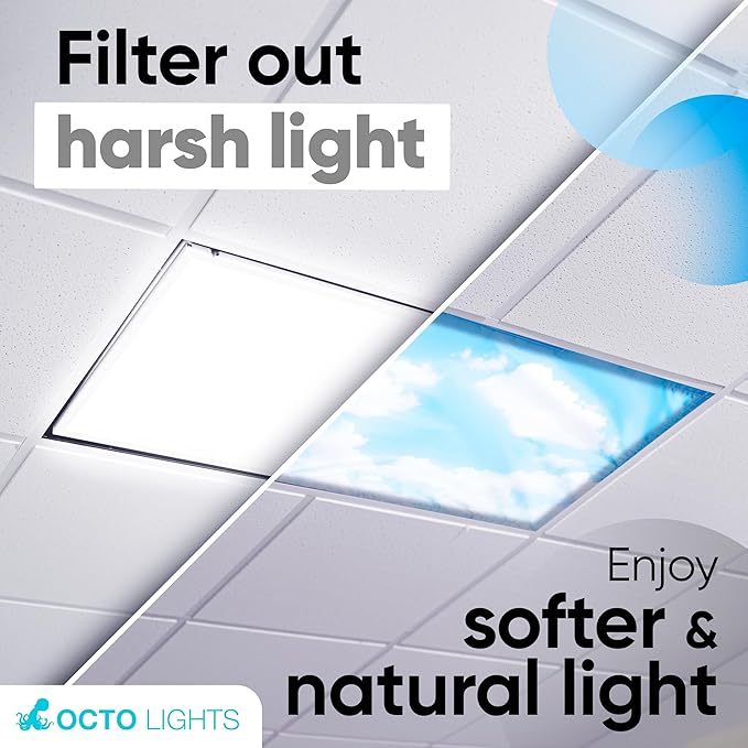 Fluorescent Light Covers for Ceiling Lights - Image 4