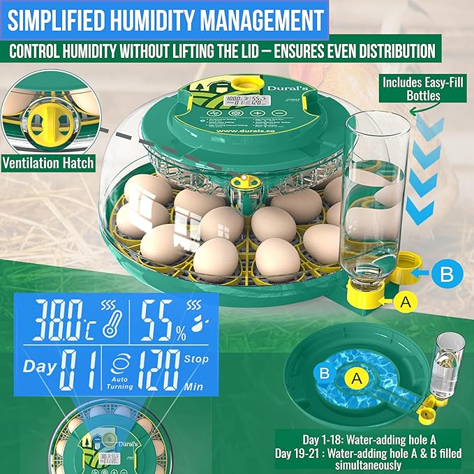 Dural's DX5® | Professional 18 Egg Incubator - Image 4