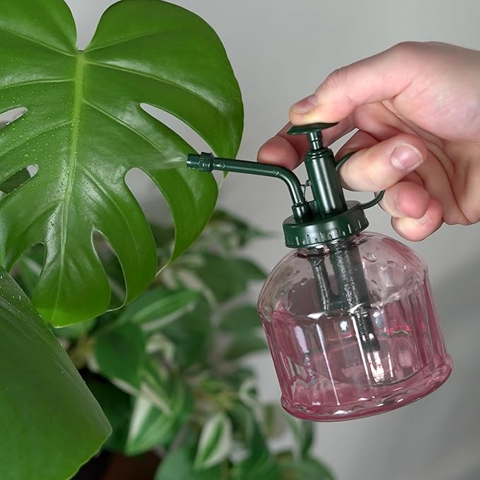 Houseplant Mister Spray Bottle – 180ml Pink Glass Plant Sprayer - Image 2