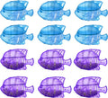 Nispira 12 Fish Universal Demineralization Cleaners by Nispira