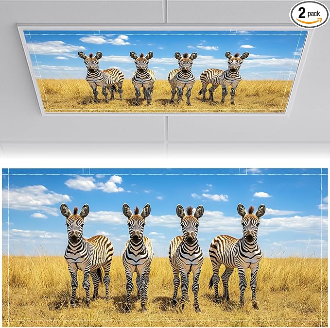 2 Pack Fluorescent Light Covers 4x2 ft Magnetic Light Covers by seewan