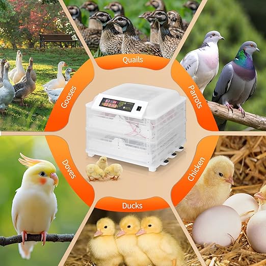 Winado Incubators for Hatching Eggs, 112 Egg Incubator - Image 8
