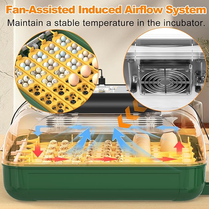 63 Egg Incubator for Hatching Eggs - Image 5