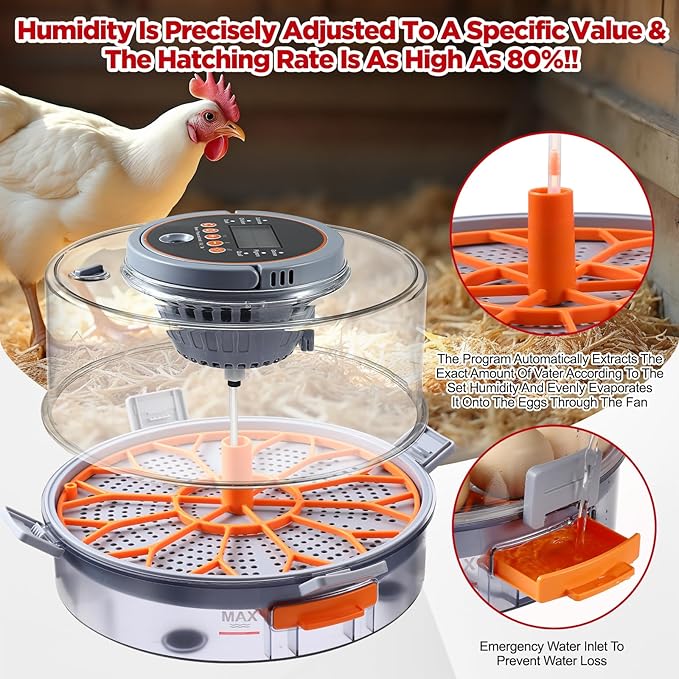 Chicken Egg Incubator 12-40 Eggs - Image 4