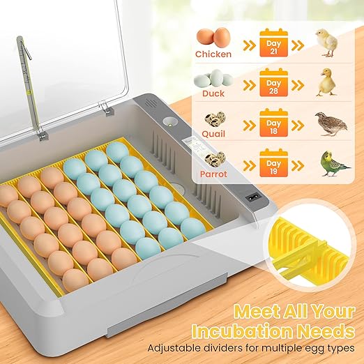 36-60 Egg Incubator with Automatic Egg Turning and Humidity Control, Adjustable - Image 6